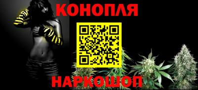 шишки Гусиноозёрск