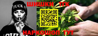 шишки Гусиноозёрск
